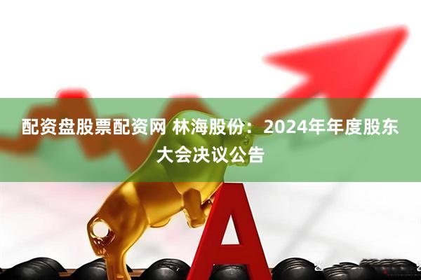 配资盘股票配资网 林海股份：2024年年度股东大会决议公告
