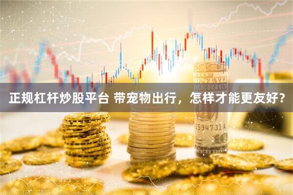 正规杠杆炒股平台 带宠物出行，怎样才能更友好？