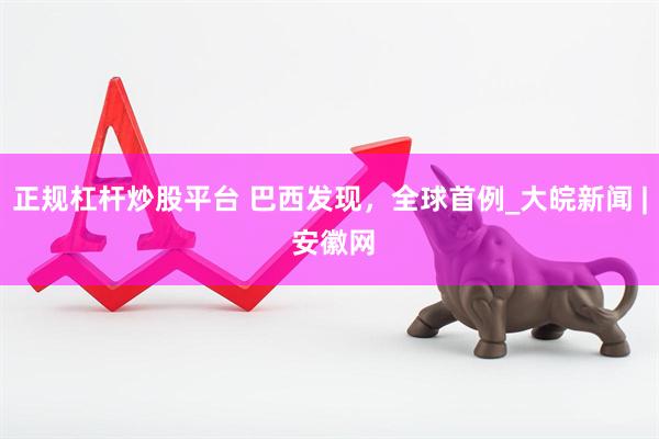 正规杠杆炒股平台 巴西发现，全球首例_大皖新闻 | 安徽网