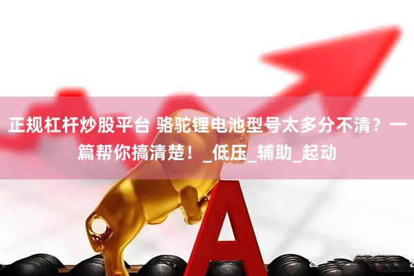 正规杠杆炒股平台 骆驼锂电池型号太多分不清？一篇帮你搞清楚！_低压_辅助_起动