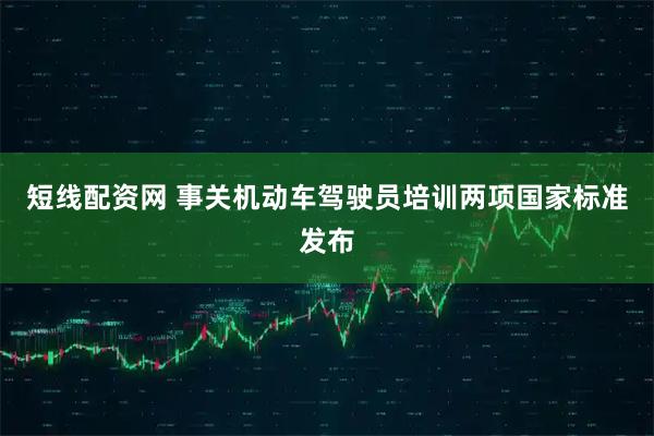 短线配资网 事关机动车驾驶员培训两项国家标准发布